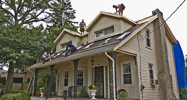 Best Roof Gutter Cleaning  in Sumter, SC